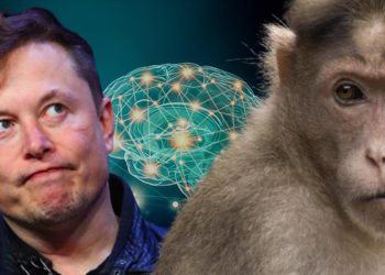 Argümanı çok büyük, suçlamalar çok korkunç! Elon Musk Neuralink ile nereye koşuyor?