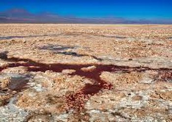 Dünya’daki Yaşamın Temelinde Zehirli Siyanür mi Yatıyor?