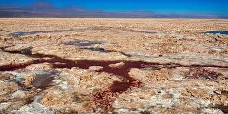 Dünya’daki Yaşamın Temelinde Zehirli Siyanür mi Yatıyor?