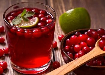 Kızılcık meyvesinin faydaları neler saymakla bitmiyor!