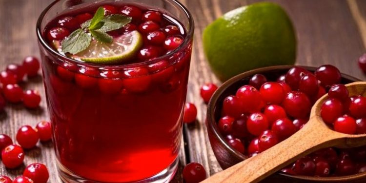 Kızılcık meyvesinin faydaları neler saymakla bitmiyor!