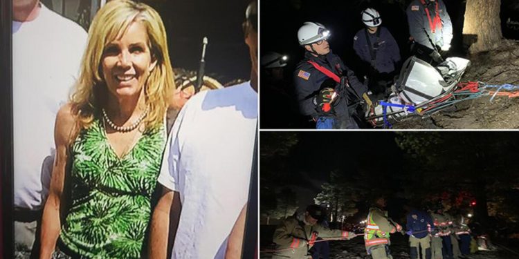 Mucize kurtuluş! Uçurumdan düştü, Ağaca tutunarak hayatta kaldı