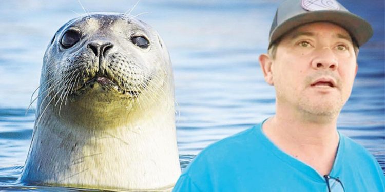 Okyanusa düşen dalgıcı fok kurtardı