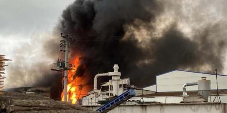 Sakarya’da geri dönüşüm fabrikasında büyük yangın