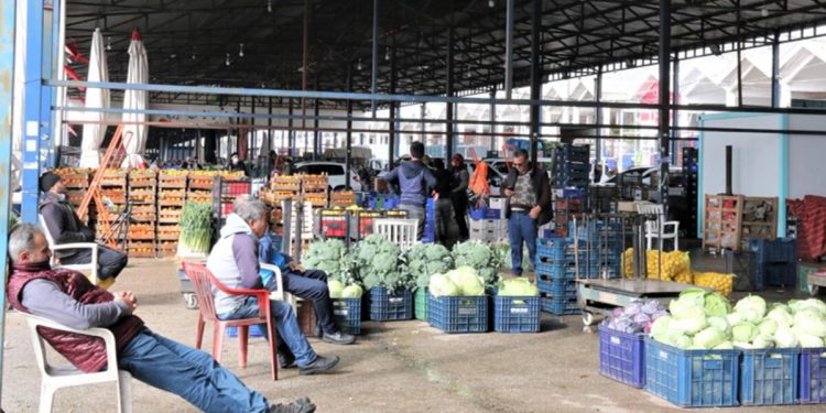 Antalya halinde savaş etkisi! Fiyatlar yüzde 50’ye yakın düştü