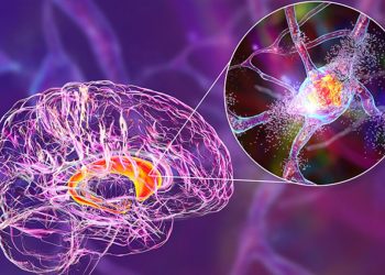 Avustralya’da yeni salgın alarmı: 19 olay ve 2 can kaybı görüldü
