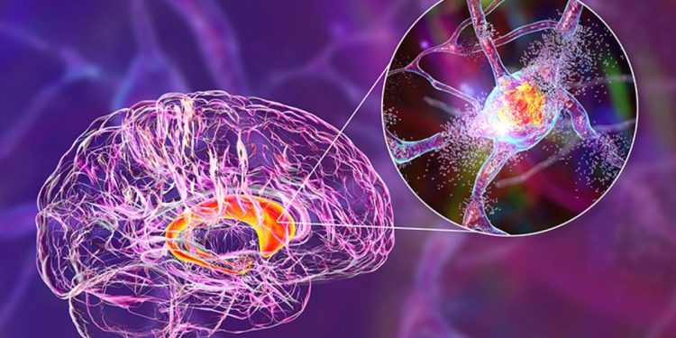 Avustralya’da yeni salgın alarmı: 19 olay ve 2 can kaybı görüldü