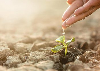 Bakan Kurum etraf konusundaki kritik gelişmeyi Paris’te açıkladı: İklim kanunu’nu çıkaracağız