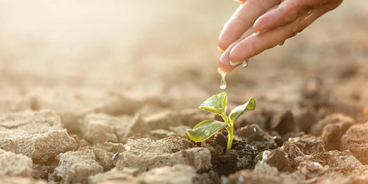 Bakan Kurum etraf konusundaki kritik gelişmeyi Paris’te açıkladı: İklim kanunu’nu çıkaracağız