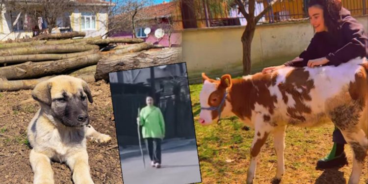 Sahne ışıkları da yok, ışıltılı kıyafetler de… Ünlü müzikçinin köy hayatı