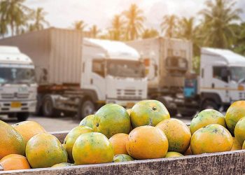 Tahsilatlara savaş manisi