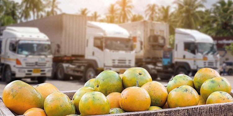 Tahsilatlara savaş manisi