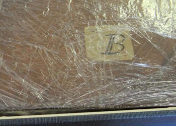 22 yıldır kayıptı: Darwin’in gizemli defterleri ortaya çıktı!