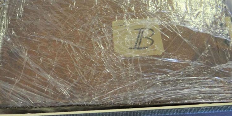 22 yıldır kayıptı: Darwin’in gizemli defterleri ortaya çıktı!