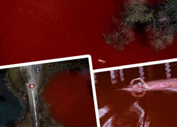 Dünya bu manzaraları konuşuyor! Rusya Büyükelçiliği önünde ‘kan gölü’