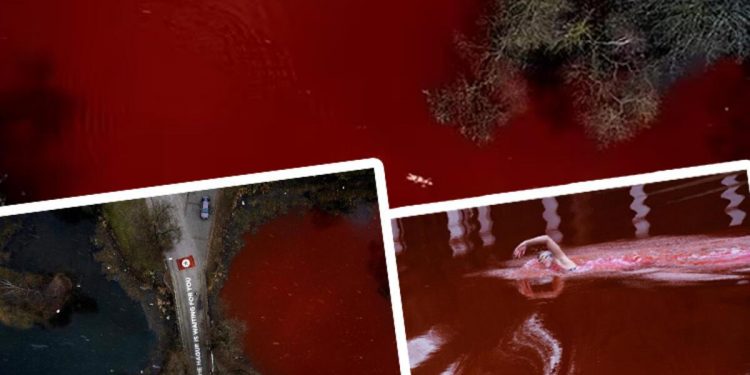 Dünya bu manzaraları konuşuyor! Rusya Büyükelçiliği önünde ‘kan gölü’