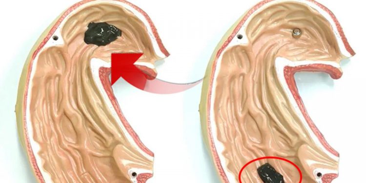 Herkes bu görüntüyü konuşuyor… Toplumsal medya ikiye bölündü: ‘Asla!’ diyen çok