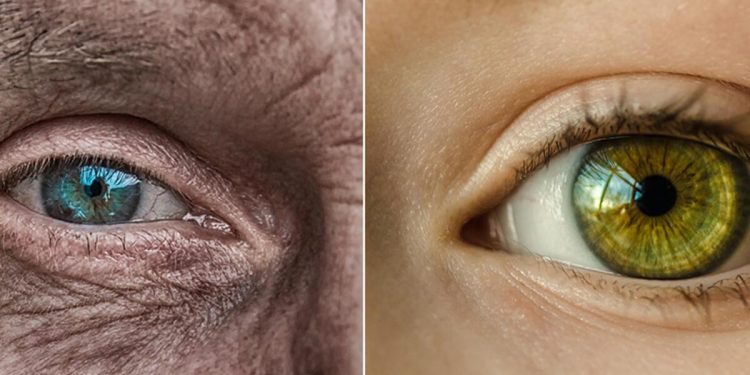 İngiltere’de şaşırtan deney: 53 yaşındaki bir bayanın cilt hücrelerini 30 yıl gençleştirildi