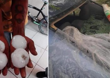 Meksika’da tenis topu büyüklüğünde dolu yağdı