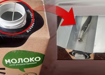 Sütün içine bomba yerleştirmişler! Yaşlı bayan ölmekten son anda kurtuldu