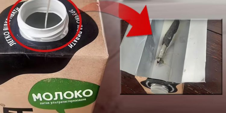 Sütün içine bomba yerleştirmişler! Yaşlı bayan ölmekten son anda kurtuldu