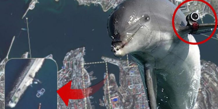 Uydu imajları şaşırttı! Rusya ‘Askeri yunusları’ devreye soktu…