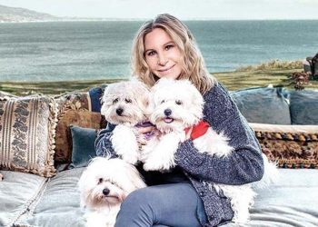 Yeni trend: Evcil hayvan klonlatma