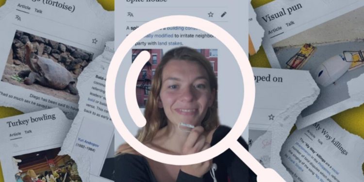 Z neslinin Wikipedia ile imtihanı: Dijital bilgi havuzunun en tuhaf ve en zıpır bilgileri…