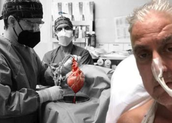 Beşere nakledilen domuz kalbinde virüs bulundu!