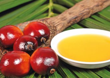 Besin kesimi palm yağına kilitlendi