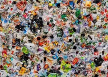 İngiltere’de ‘çöp’ harekatı! Bir hafta boyunca sayacaklar