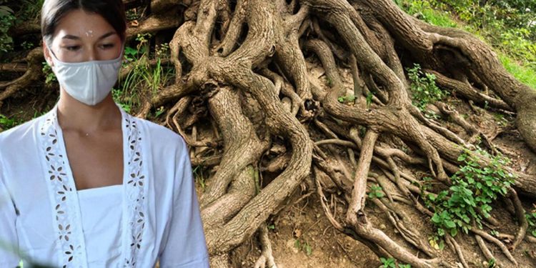 Kutsal ağaç önünde çıplak poz verdi, ortalık karıştı! Hudut dışı edilecek….