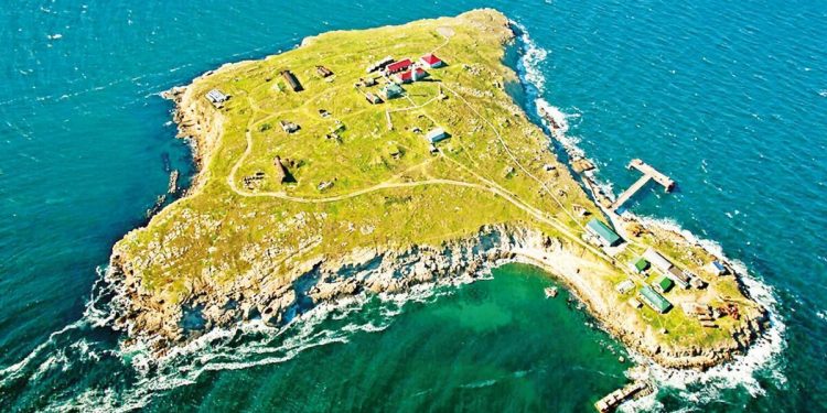 Yılan Adası düellosu