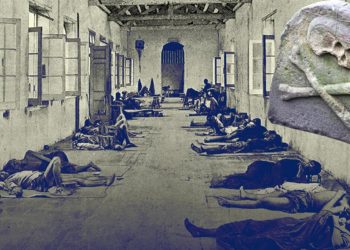 600 yıllık sırrı ‘dişler’ çözdü… Kara vebanın nereden yayıldığı sonunda bulundu