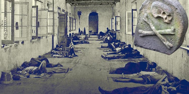 600 yıllık sırrı ‘dişler’ çözdü… Kara vebanın nereden yayıldığı sonunda bulundu