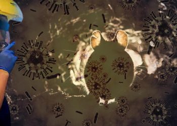 Bilim insanlarından flaş açıklama… İsveç’te yeni bir koronavirüs keşfedildi!