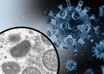 DSÖ çalışma başlattı! ‘Maymun Çiçeği’ hastalığına yeni isim aranıyor…