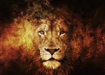 GALATASARAY TRANSFER HABERLERİ | Galatasaray transferde atağa kalktı! Canberk Yurdakul, Polat Yaldır, Alexis Sanchez…