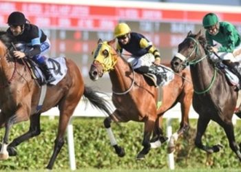 Gazi Koşusu saat kaçta, hangi kanalda canlı yayınlanacak? Gazi Koşusu’nda hangi atlar yarışacak? 96. Gazi Koşusu mükafatı ne kadar?