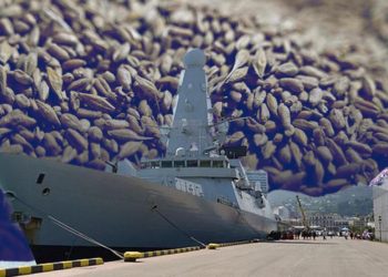 Global besin krizi kapıda… Ukrayna tahılına savaş gemili koruma!