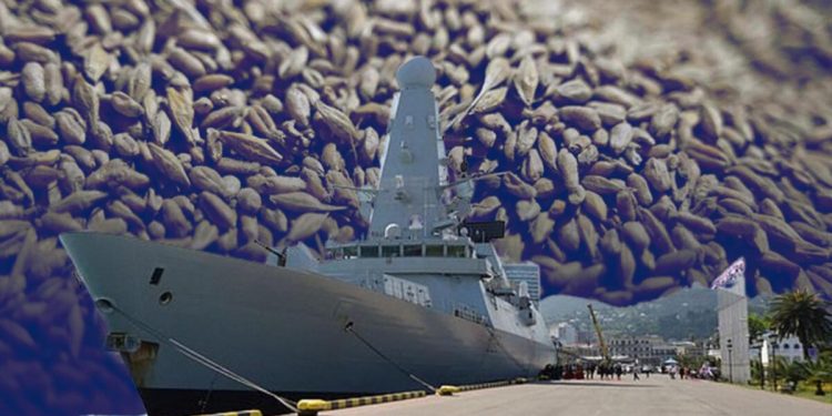 Global besin krizi kapıda… Ukrayna tahılına savaş gemili koruma!