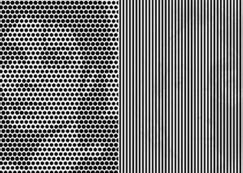 Görseldeki zımnî ünlüyü görebildiniz mi? ‘Sadece eğlenceli değil, bilimsel bedeli de var’