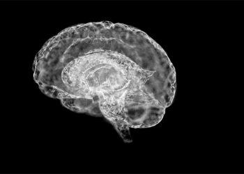 Hayatımıza pandemiyle girdi… ‘Beyin sisi’ milyonları etkiliyor!