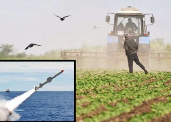 Karadeniz’e buğday koridoru: İngiltere’den uçuk plan