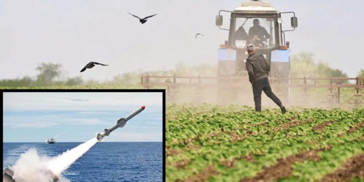 Karadeniz’e buğday koridoru: İngiltere’den uçuk plan