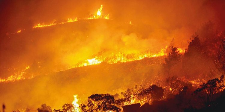 Kıbrıs yangınını sağanak söndürdü