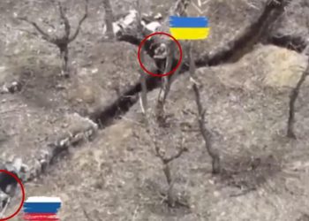 Manzaralar ortaya çıktı… Dünya yürekli Ukraynalı askeri konuşuyor