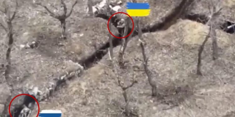 Manzaralar ortaya çıktı… Dünya yürekli Ukraynalı askeri konuşuyor