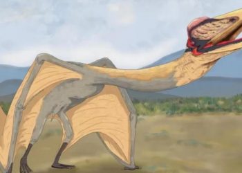 ‘Ölüm Ejderhası’na ilişkin fosil kalıntılar bulundu