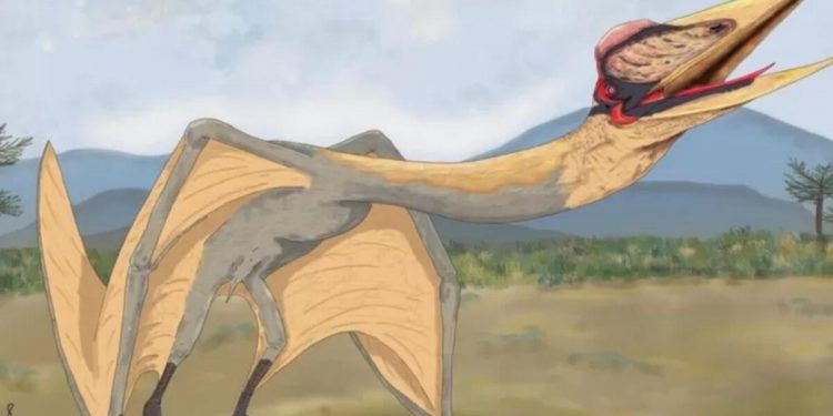 ‘Ölüm Ejderhası’na ilişkin fosil kalıntılar bulundu